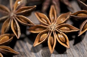 anice-stellato-lenicol